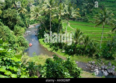 Rafting Ayung River Gorge Rice Terraces Ubud Bali Indonesia Stock Photo