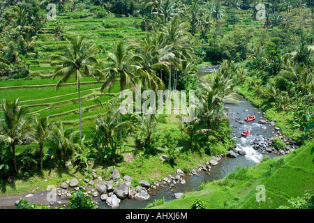 Rafting Ayung River Gorge Rice Terraces Ubud Bali Indonesia Stock Photo