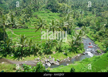 Rafting Ayung River Gorge Rice Terraces Ubud Bali Indonesia Stock Photo