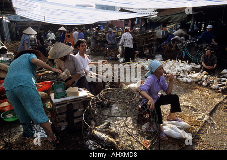 Poultry for sale, Long Bien Market, Hanoi, Vietnam. From story on Avian Flu in Asia. Stock Photo