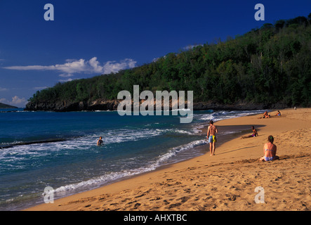 people, tourists, family vacation, Anse de la Perle, beach, near town of Deshaies, Basse-Terre Island, Guadeloupe, French West Indies, France Stock Photo