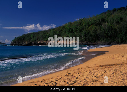 Anse de la Perle, beach, near town of Deshaies, Basse-Terre Island, Guadeloupe, French West Indies, France Stock Photo