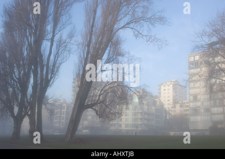 View of Vancouver West End Pacific Street in a spring fog British Columbia Canada Stock Photo
