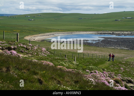 dh Marwick Bay BIRSAY ORKNEY Tourist couple viewing Marwick Bay on seacliff footpath sea pink flowers