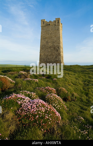 dh Marwick Head BIRSAY ORKNEY Kitchener Memorial on RSPB Bird Nature reserve Thrift flowers on seacliff