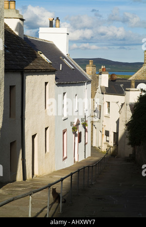 dh Graham Place STROMNESS ORKNEY SCOTLAND Cat in street lane Hamnavoe restaurant town houses buildings Stock Photo