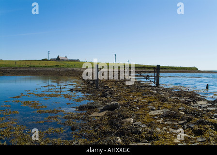 dh Bay of Firth FIRTH ORKNEY Farm gate on causeway to Holm of Grimbister island road rural croft small cottage remote islands house scotland