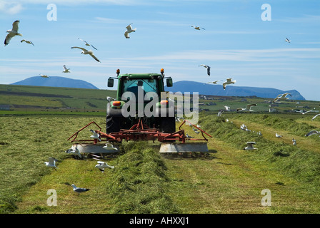 dh Tractor raking grass HARVESTING UK Hay harvesting Orkney farming harvest field farm tractors agriculture hay scottish rural farmer silage cutting Stock Photo