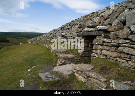 dh Grey Cairns CAMSTER CAITHNESS Long burial chambered cairn Neolithic dry stone grave mound entrance tomb Stock Photo