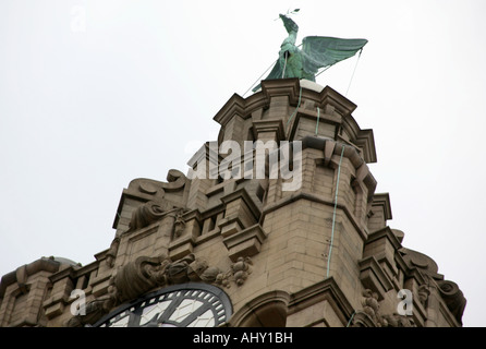 Liver Bird on top of the Royal Liver Building in Liverpool Stock Photo