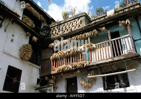 Traditional corn drying on wooden balconies in Chobhar Village, Kathmandu Valley, Nepal. Stock Photo