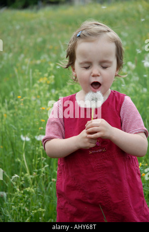 toddler girl blowing a flower dandelion Stock Photo