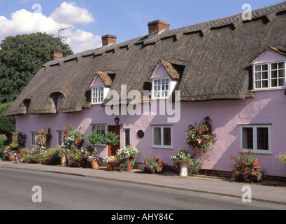 Pleshey village old thatched roof cottage homes dormer and eyebrow windows rendered pink walls pavement pot plants hanging baskets Essex England UK Stock Photo