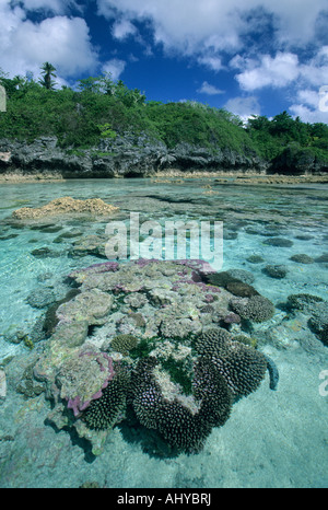 Coral Reef, Niue Island, South Pacific Stock Photo
