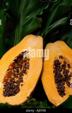 Tropical Fruits Gold Papaya  Stock Photo