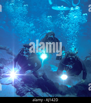 three skin divers exploring underwater cave in Florida USA Stock Photo