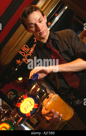 Barman pulling pint of lager at bar in Cardiff South Wales UK Stock Photo