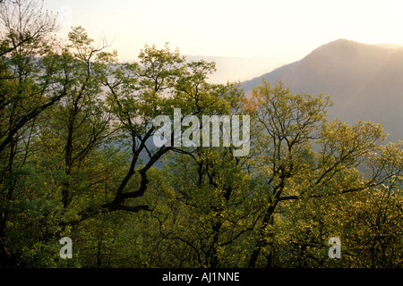 Kentucky, Southeast, Pine Mountain State Park Stock Photo