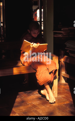 Buddhist Monk Novice Reading A Book Stock Photo