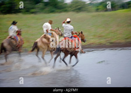 Peões pantaneiros tocando boiada com chicote de metal no Pantanal, Pantanal cowboys escorting the cattle with metal whip in Pantanal