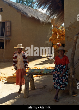 Two women with maize cobs hanging to dry from posts and on mats in a typical Betsileo village, Madagascar. Stock Photo