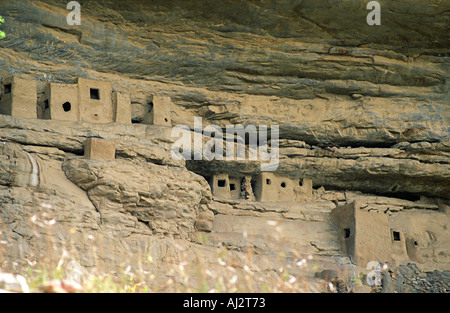 Cliff houses of the ancient Tellem people on the Bandiagara Escarpment. Mali, West Africa Stock Photo