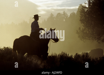 Cowboy silhouetted in golden sunlight of sunset in Oregon Stock Photo