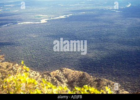 Mountain Chaco forest from central Argentina in summer Stock Photo