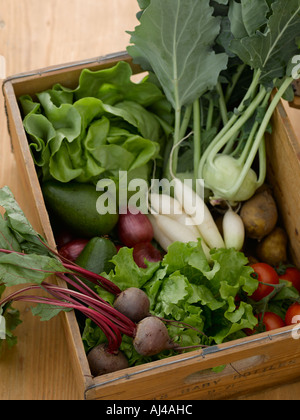 Wooden box of mixed vegetables - high end Hasselblad 61mb digital image Stock Photo