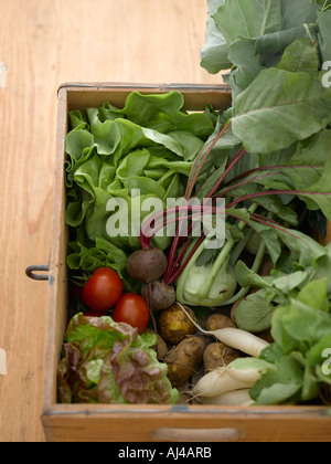 Wooden box of vegetables - high end Hasselblad 61mb digital image Stock Photo