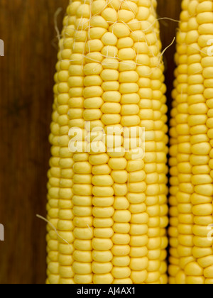 Corn on the cob - high end Hasselblad 61mb digital image Stock Photo