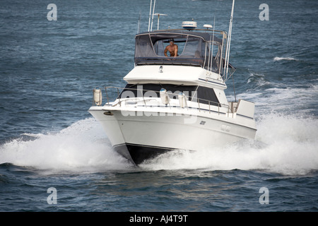 Motor launch speed boat cruiser on harbour in Sydney New South Wales NSW Australia Stock Photo