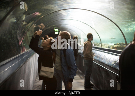 People in underwater viewing tunnel looking at sharks and other fish in Sydney Aquarium Darling Harbour New South Wales NSW Aus Stock Photo