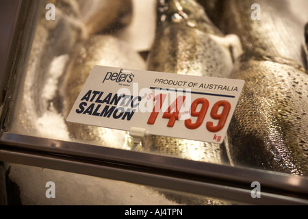 Atlantic salmon fish on sale in Fish Market shop Sydney New South Wales NSW Australia Stock Photo