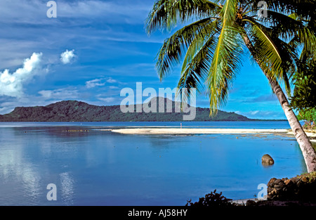 Truk Lagoon beach offshore island palm tree chuuk islands federated islands of micronesia south pacific beach m tim timothy okee Stock Photo