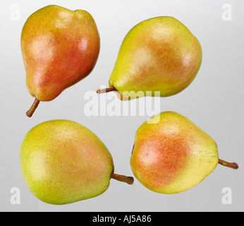 PEARS Stock Photo