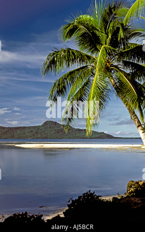 truk lagoon offshore island chuuk islands federated islands of micronesia south pacific beach palm trees m tim timothy okeefe ve Stock Photo