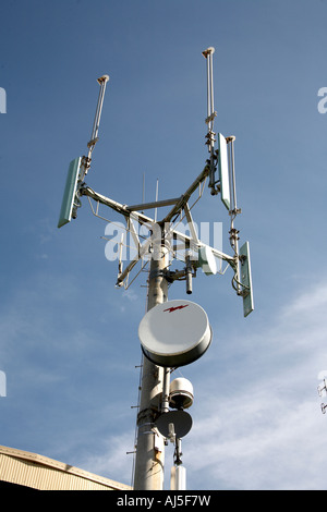 Microwave radio and mobile phone antenna mast near Ballina in New South Wales NSW Australia Stock Photo