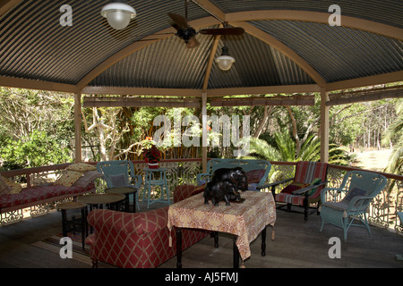 Exterior of old colonial style Queenslander wooden house building with gardens in Dakabin Queensland QLD Australia Stock Photo