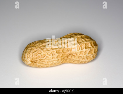 roasted peanuts in their shell Stock Photo