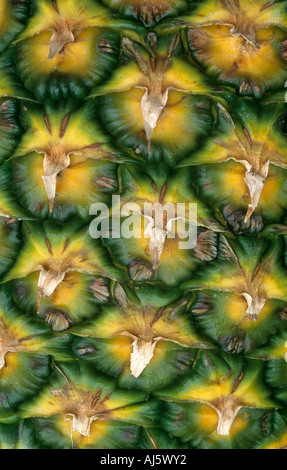 Skin of pineapple fruit Stock Photo