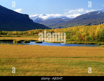 Autumn colors near Nikkaloukta looking toward Kebnekaise Mountains above Arctic Circle in Swedish Lapland Stock Photo