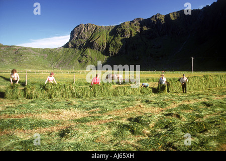 Family in Lofoten Islands off Northern Norway during summer harvest season Stock Photo