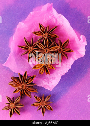 STAR ANISE Stock Photo