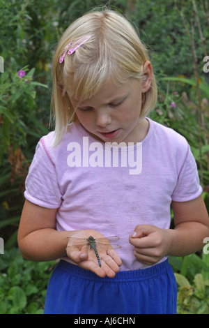 blue-green darner, southern aeshna, southern hawker (Aeshna cyanea), girl with dragonfly on the hand Stock Photo