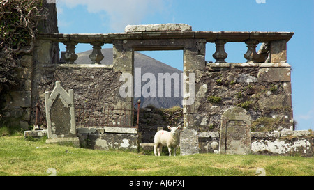 A sheep among the ruins of Cill Chriosd church near Broadford on the Isle of Skye Stock Photo