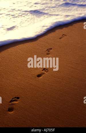 Footprints along beach at waters edge Stock Photo