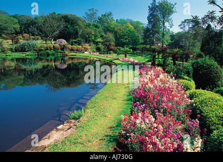 Vumba Botanical Gardens East Highlands on border with Mozambique near ...