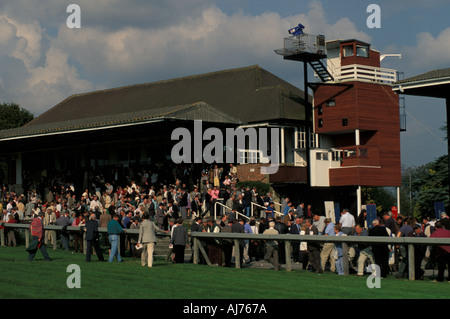 Spectators in the stand at Goodwood racecourse West Sussex England Great Britain UK Stock Photo