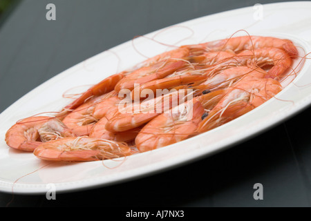 Prawns on a plate Stock Photo